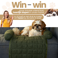 Dogs&amp;Co Autostoel beschermer  Grijs incl autogordel