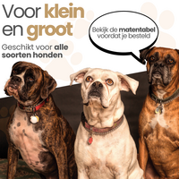 Dogs&amp;Co Loopsheidbroekje Beige