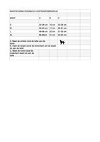 Dogs&amp;Co&reg; Loopsheidbroekje Roze 