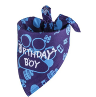 Verjaardags set voor de hond blauw 