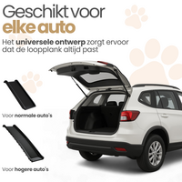 Auto Loopplank  Hond 157x40x14cm 