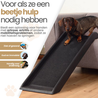 Auto Loopplank  Hond 157x40x14cm 