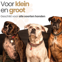 Auto Loopplank  Hond 157x40x14cm 