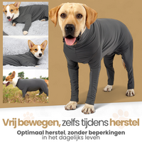 Medisch Bodysuit - Operatie jumpsuit Turquoise - Operatiepak voor de hond Turquoise