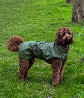 Dogs&amp;Co&reg; Honden Regenjas Raindog Groen