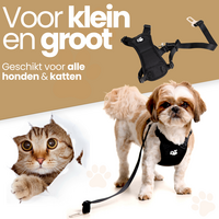 Dogs&amp;Co autoharnas Zwart incl. autogordel