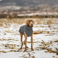 Dogs&amp;Co&reg; Honden Winterjas Grijs Quilt voor grotere honden 