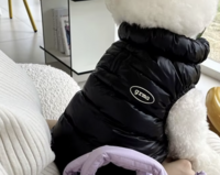 Winter Dons Jas Zwart voor kleine honden