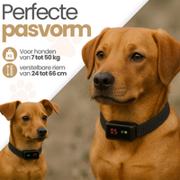 Dogs&amp;Co&reg; Ultrasone Anti-blafband