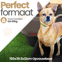 Dogs&amp;Co&reg; Honden Loopplank 150x40cm -Kunststof Frame 