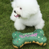 Happy Birthday Bone 25cm Groen