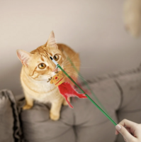 Christmas Cat Teaser Toy &ndash; Kerstspeeltje voor katten