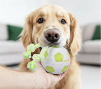 Dogs&amp;Co&reg; Interactieve speelbal 