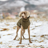Dogs&amp;Co&reg; Honden Winterjas Army Groen