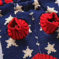 Gebreide Winter Hondentrui met capuchon Blauw &quot;stars&quot;