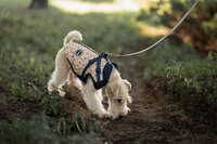 Dogs&amp;Co&reg; Warme  Hondenjas Navy Print (Model 2025)