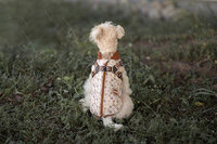 Dogs&amp;Co&reg; Warme  Hondenjas Bruin Print (Model 2025)