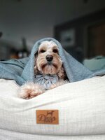 Dogs&amp;Co Orthopedische hondenmand 75x55x18cm beige