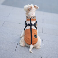 Dogs&amp;Co Warme  Hondenjas Okergeel  2026 model 
