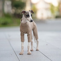 Dogs&amp;Co&reg; Comfort Jumpsuit voor Honden Khaki