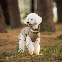 Honden regenjas Beige