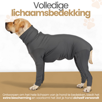 Dogs&amp;Co&reg; Medisch Bodysuit - Operatie jumpsuit Grijs - Operatiepak voor de hond grijs
