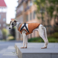 Dogs&amp;Co Warme  Hondenjas Okergeel  2026 model 