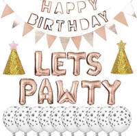 Verjaardags set voor de hond  Goud