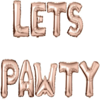 Verjaardags set voor de hond  Goud