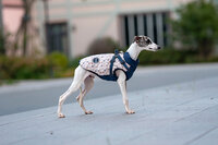 Dogs&amp;Co&reg; Warme  Hondenjas Navy Print (Model 2025)