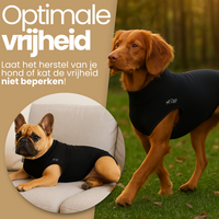 Dogs&amp;Co&reg; Honden Romper voor na de operatie Zwart