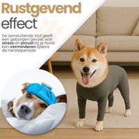 Medisch Bodysuit - Operatie jumpsuit Turquoise - Operatiepak voor de hond Turquoise
