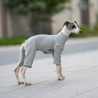 Dogs&amp;Co&reg; Comfort Jumpsuit voor Honden Grijs