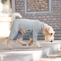 Dogs&amp;Co&reg; Comfort Jumpsuit voor Honden Grijs