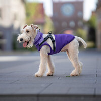 Dogs&amp;Co Warme  Hondenjas Paars 2026 model 