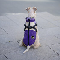 Dogs&amp;Co Warme  Hondenjas Paars 2026 model 