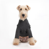 Dogs&amp;Co&reg; Comfort Jumpsuit voor Honden  Antraciet