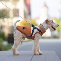 Dogs&amp;Co Warme  Hondenjas Okergeel  2026 model 