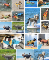 Zwemvest voor honden Zeehond