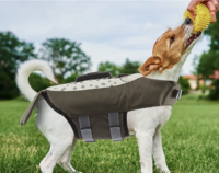 Zwemvest voor honden Robbie de Zeehond