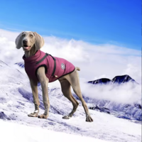 Dogs&amp;Co&reg; Warme  Hondenjas  Burgundy ALLEEN MAAT S 