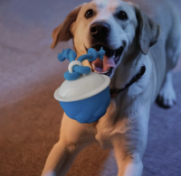 Interactieve Speelbal voor Honden | Automatisch Hondenspeelgoed Oranje