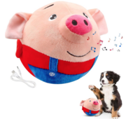 Piggy Interactief speelgoed USB oplaadbaar ROOD