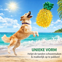 Verkoelend Hondenspeelgoed &ndash; Water Vulbaar &amp; Invriesbaar &ndash; Ananas