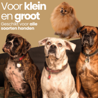 Honden Zwembad Opvouwbaar 80x20 &ndash; Stevig PVC &ndash; Anti Slip &ndash; Voor Tuin &ndash; Groot &amp; Klein &ndash; Dogs&amp;Co