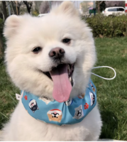 Dogs&amp;Co Verkoelende Bandana- Gel band 