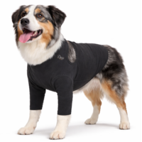 Dogs&amp;Co&reg; Herstelpak - Voorpoot beschermer