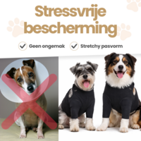 Dogs&amp;Co&reg; Herstelpak - Voorpoot beschermer