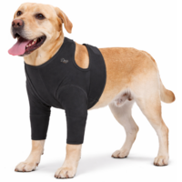 Dogs&amp;Co&reg; Herstelpak - Voorpoot beschermer