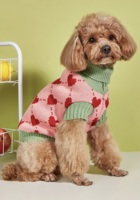 Honden Trui Hartjes Roze/Groen